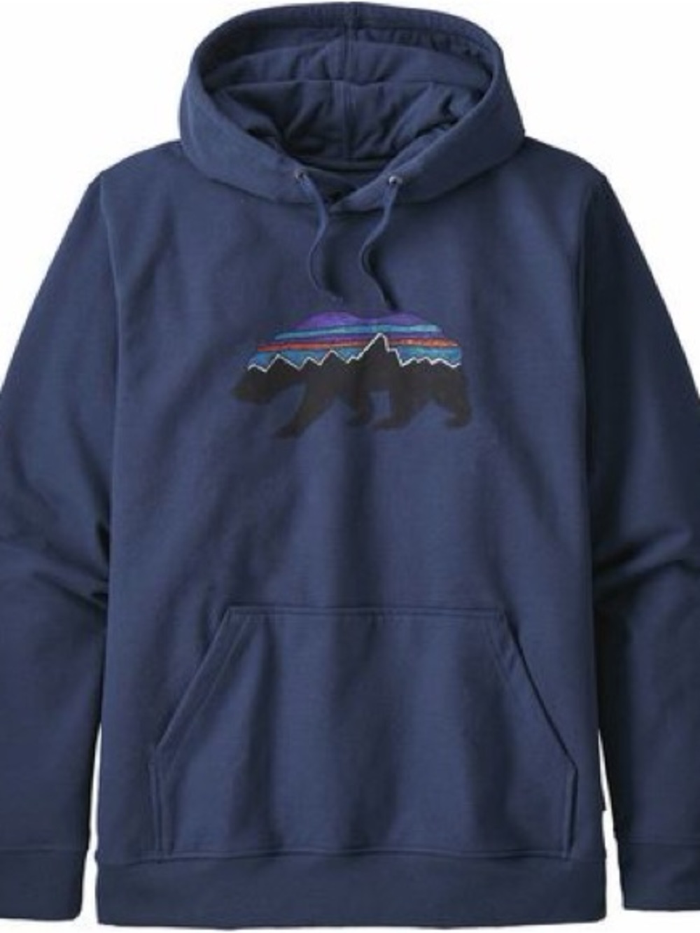 Patagonia Men's Navy Fitz Roy Hoodie